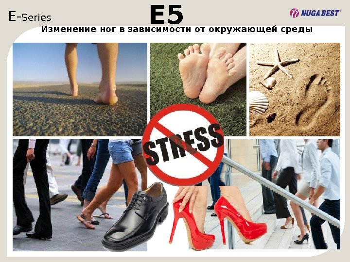 E- Series  E 5 Изменение ног в зависимости от окружающей среды 